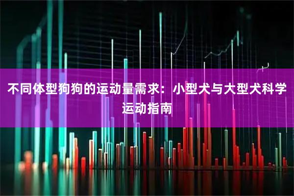 不同体型狗狗的运动量需求：小型犬与大型犬科学运动指南