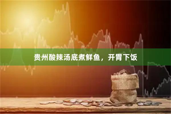 贵州酸辣汤底煮鲜鱼，开胃下饭